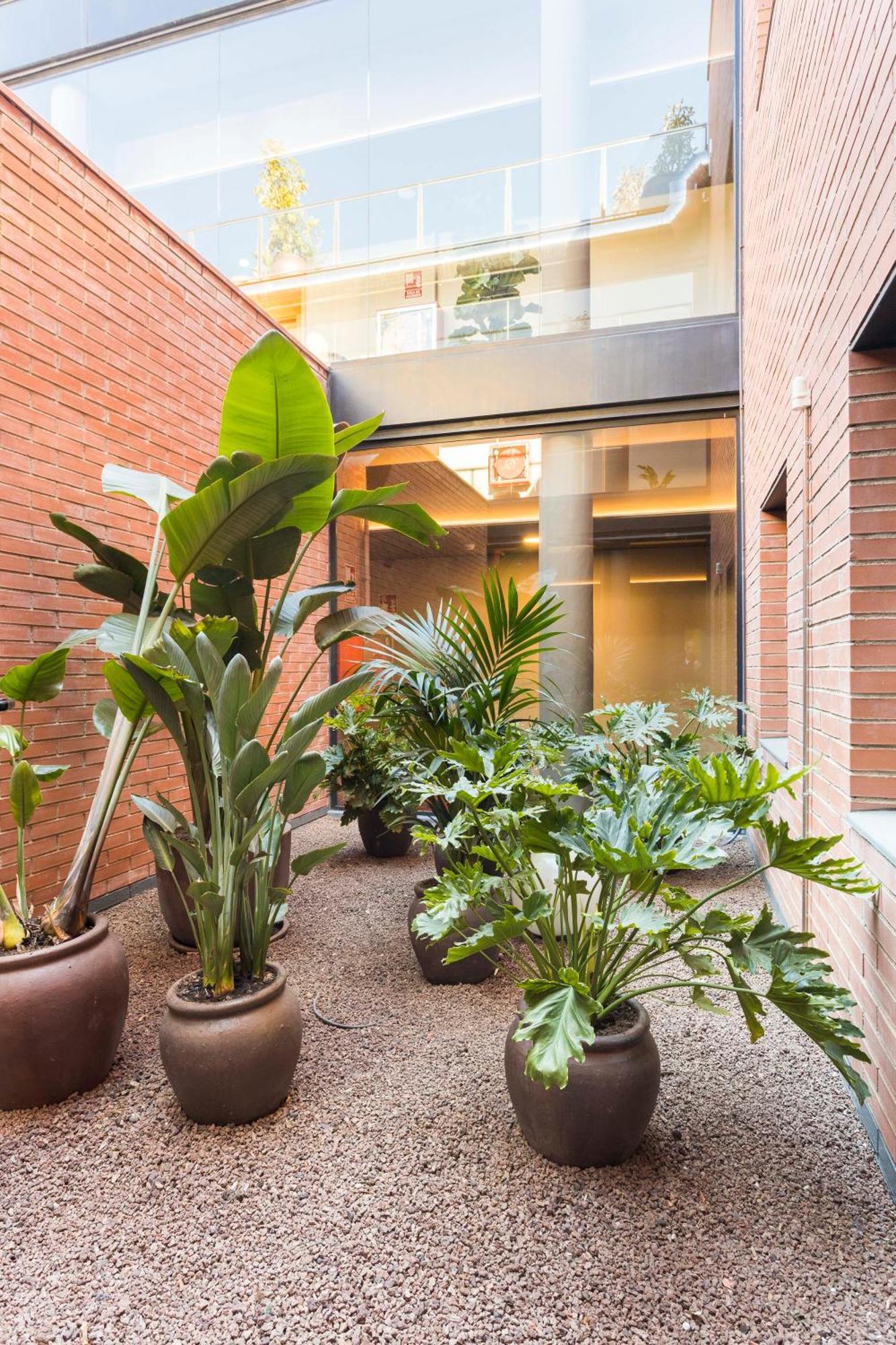 Hotel Terrassa Confort ภายนอก รูปภาพ
